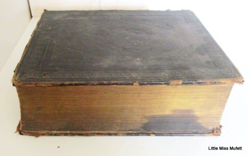 A LARGE FAMILY BIBLE DATED 1856 WITH FAMILY HISTORY