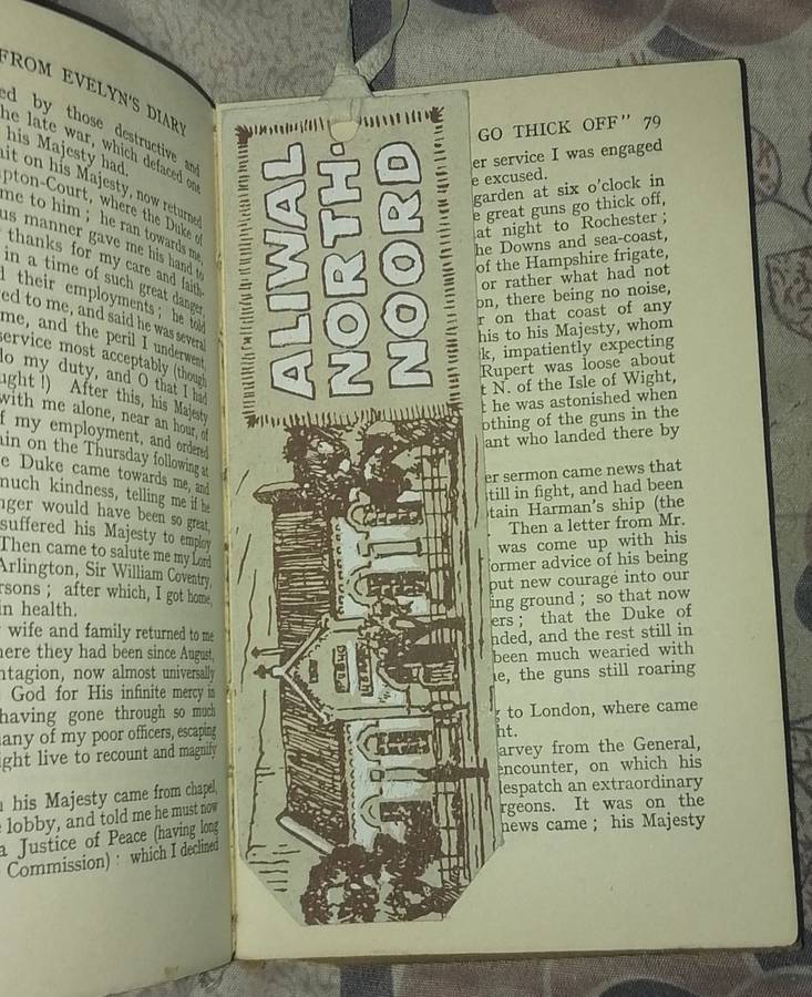 SELECTIONS FROM EVELYNS DIARY 1930