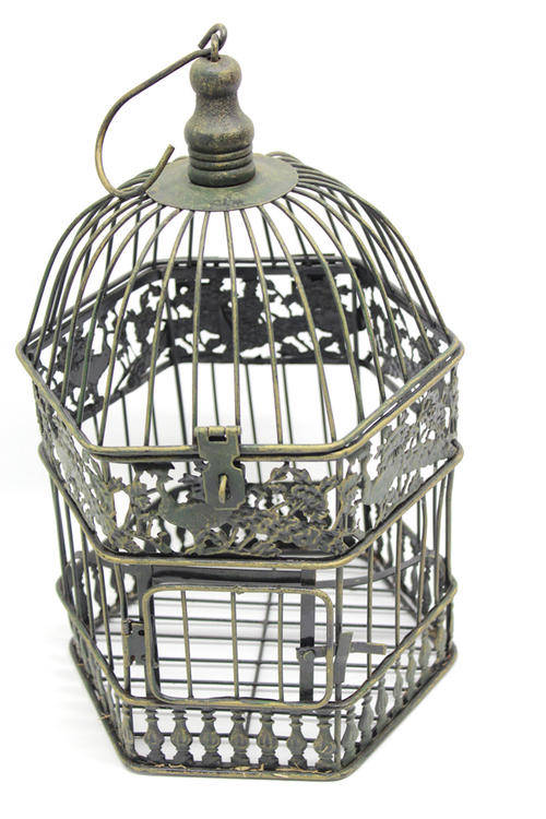 Decorative Brass Look Bird Cage