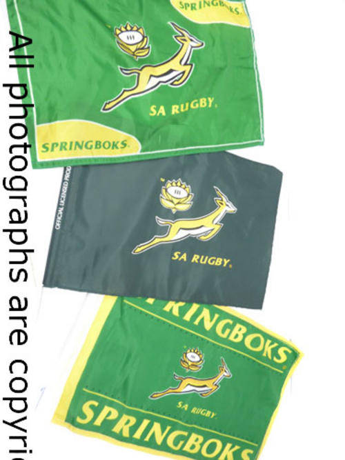 Springbok Rugby Small Flag Set (Includes 3 flags on poles)