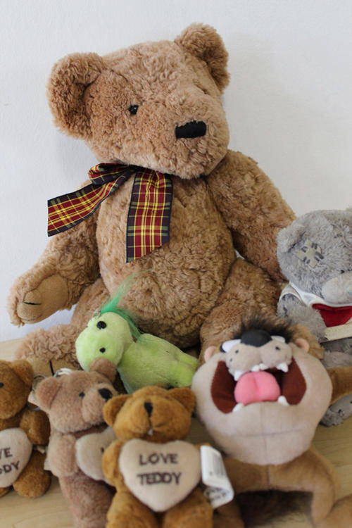 Teddy Bear Job Lot