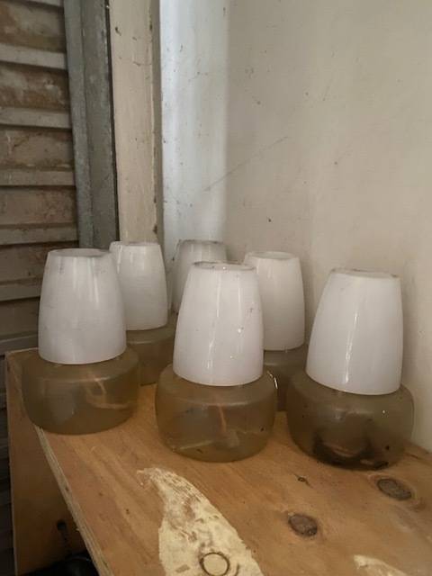 Set of 6 oil lamps: Bid per lamp