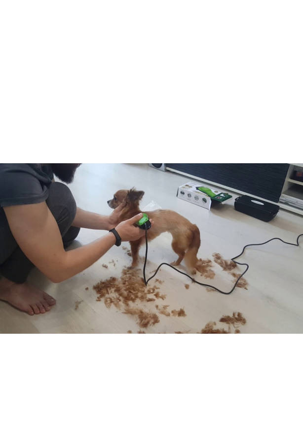 Pet Clippers