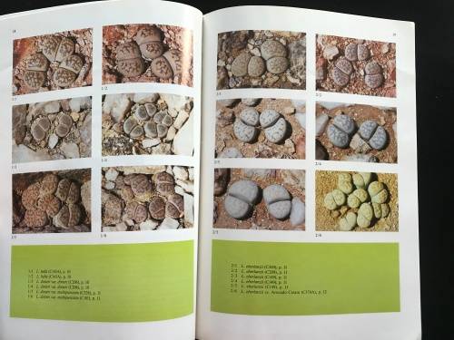 Lithops of SWA / Namibia - Desmond Cole