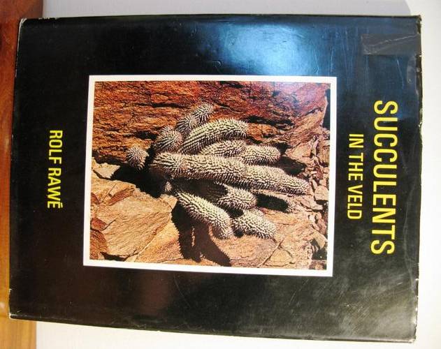 Succulents in the Veld