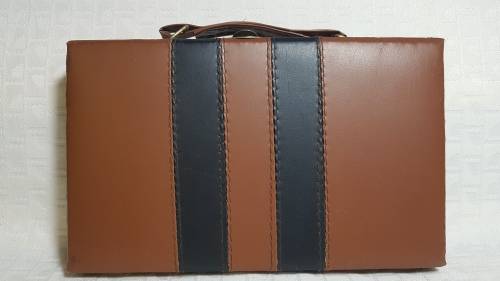 Vintage Dominos In A Leather Case!!! (complete)