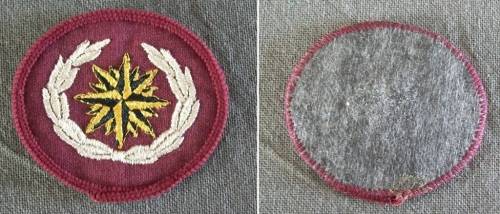 Special Forces Beret badge - post 1995 issue (cloth type with merrowed border)