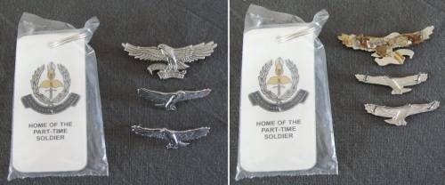 Regiment Oranje Rivier (6 of 6) - Beret Badge and Collar Badges and ROR Keyring