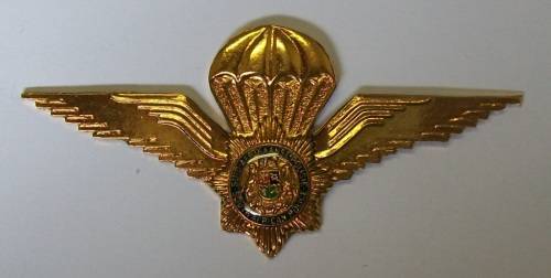 Special Task Force - Parachute Wings - (used before 1995) - ORIGINAL