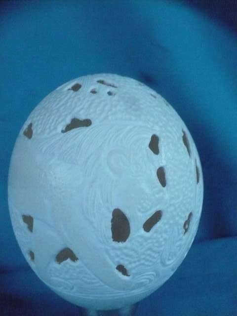 OSTRICH EGG  CARVED