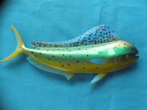 FIBLE GLASS CAST WALL HANGING  "DORADO"  FISH