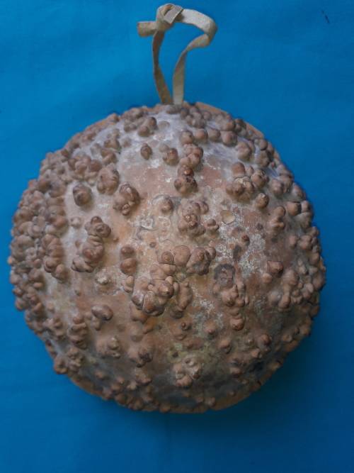 AFRICAN CALABASH GOURD KALIMBA