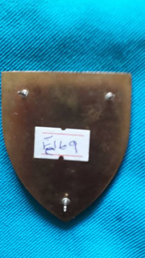 SADF METAL FLASH   '4 SA INFANTRY BATTALION '  3 PINS