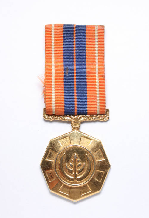 Pro Patria Medal SADF Border War