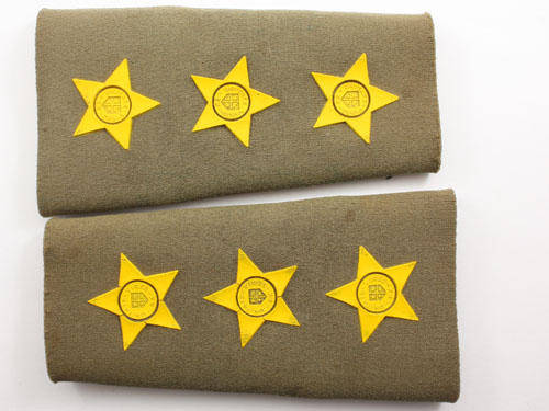 SADF/SANDF Captain Rubberised Rank Field Dress