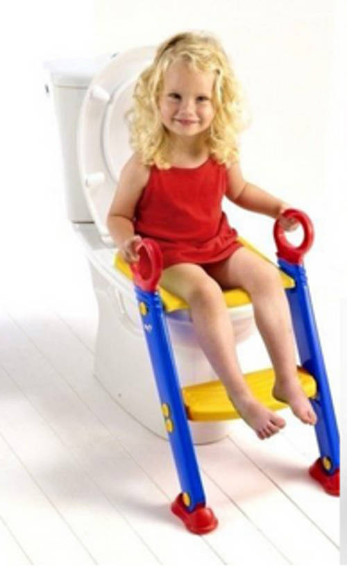 Toilet ladder chair
