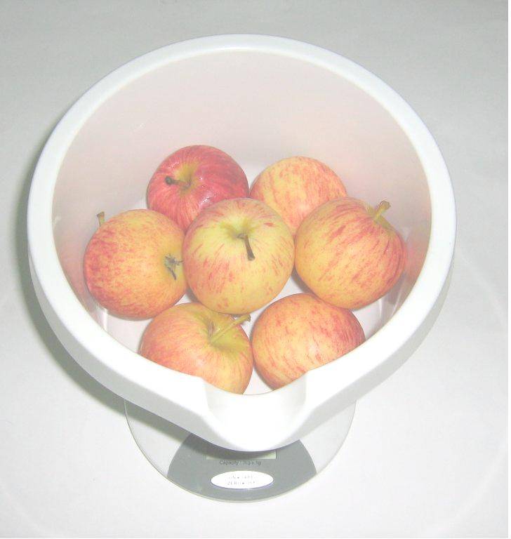 VESTA 3 DIGITAL FOOD SCALE