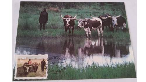 1986 - SWA Caprivi Strip -  Maximum Cards