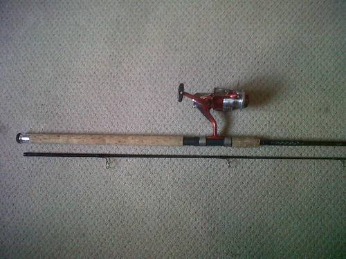 Daiwa spinning rod and reel