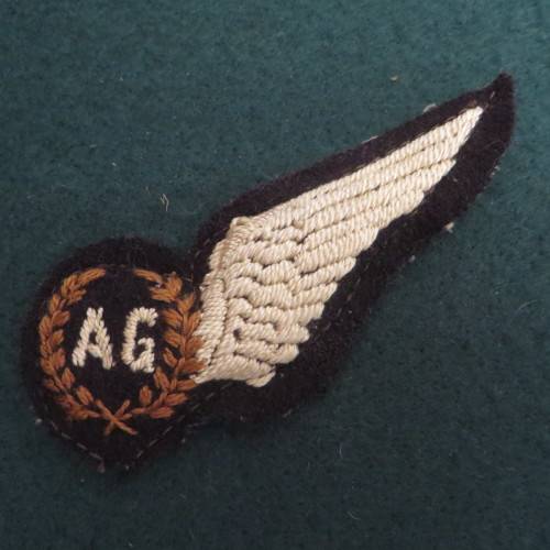 Aerial Gunner Padded Wings ** Nice for your Collection