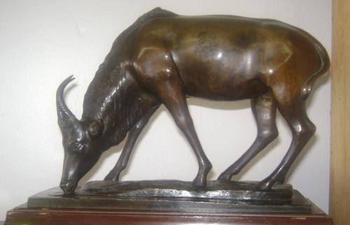 STUNNING BRONZE SCULPTURE OF A BUCK!! SIGNED - " W.ENCK" - **R1 START**