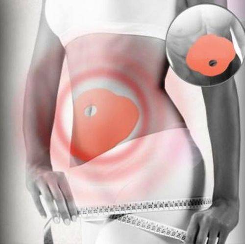 Wonder Patch Belly 1Pack (23cm x 19cm) x 5pcs weight