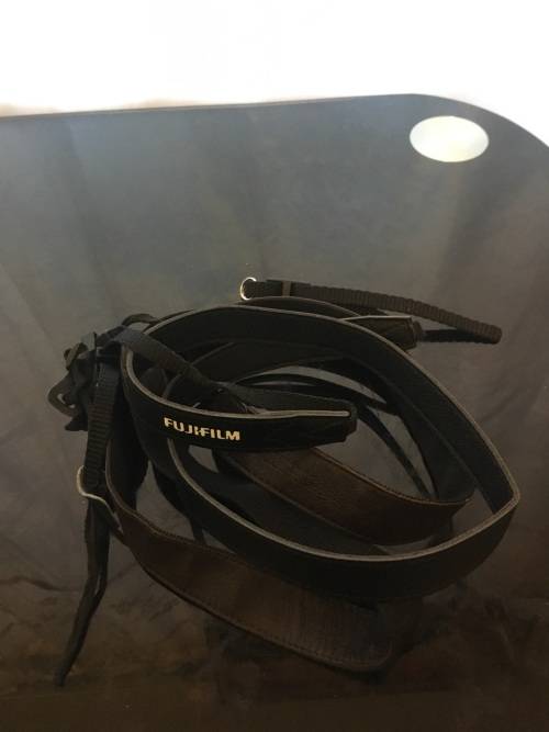 Fujifilm FinePix x100 Professional Camera