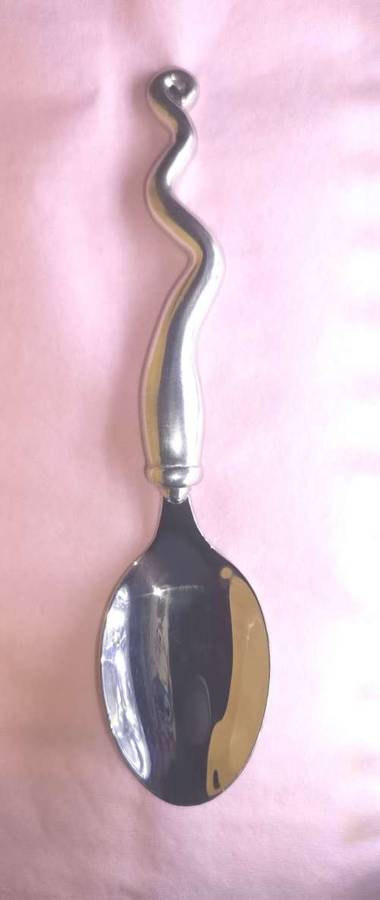 Carrol Boyes Spoon - An essential addition to your collection!