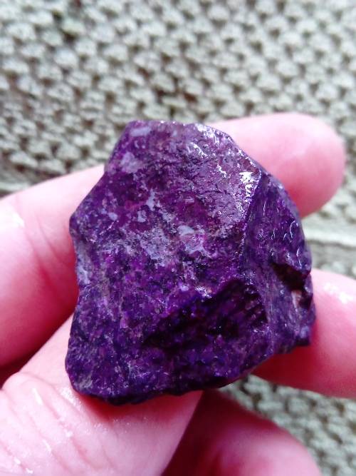 RARE SUGILITE ROUGH.  GOOD CABOCHON CUTTING MATERIAL