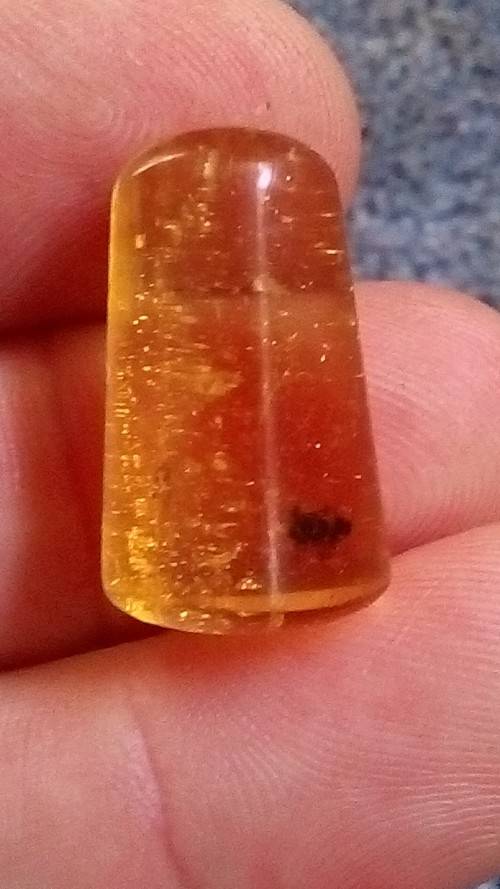 SMALL FOSSIL COPAL AMBER.  SMALL INSECT INCLUSION