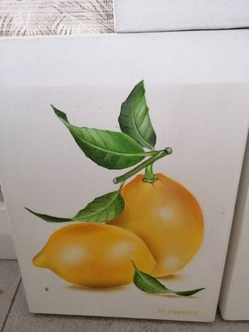 AMAZING DETAIL 3 PAINTINGS OF LEMONS M.HAUSER SWISS