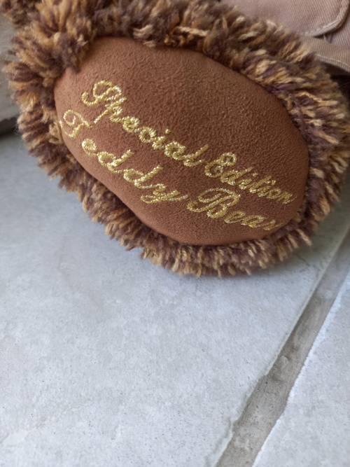 100 YEAR ANNIVERSARY TALKING TEDDY - AMAZING