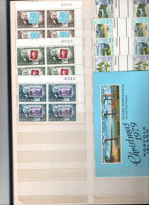 Norfolk Island Collection in decent condition 8 pg/16 side stock book