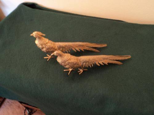 Pr.of Birds
