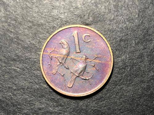 1981 Bronze Proof One cent (1c) coin - Excellently toned