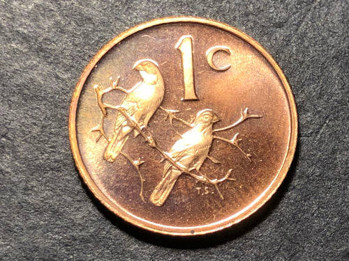 Brilliant Proof 1971 RSA 1 Cent coin