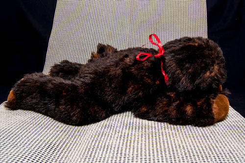 SOFT CUDDLY PRE-LOVED BROWN BEAR