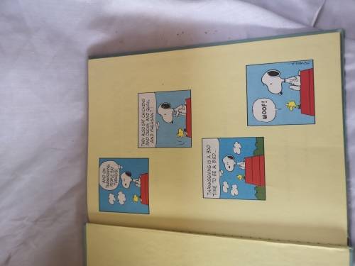 Charlie Brown's 'cyclopedia volume 12