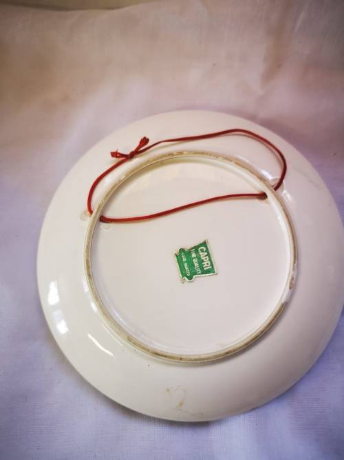 A beautiful Capri hand painted 3D plate /wall hanging