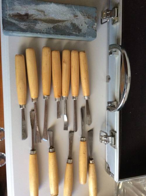 Wood Carving Chisel Set of 12 with Sharpening Stone & Protective Case