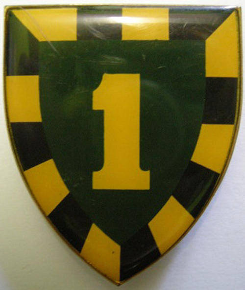 1 SAI Shoulder Flash 1st Type Pins Intact Dinnes 4387