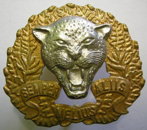 6 SAI Bi-Metal Cap Badge Voided Type Dinnes 62