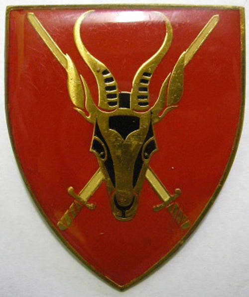SA Army HQ Unit Shoulder Flash Only Two Pins Dinnes 4304
