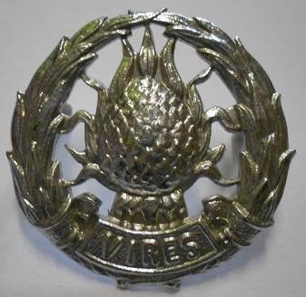 Regiment Boland Chromed Cap Badge Dinnes 673