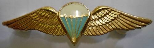 SA Parachute Basic Paratrooper 8 Jumps or More Lucite Covered Wing Full Size