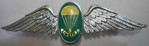 SA Parachute Static Line Instructor Chrome & Lucite Covered Centre Wing Full Size