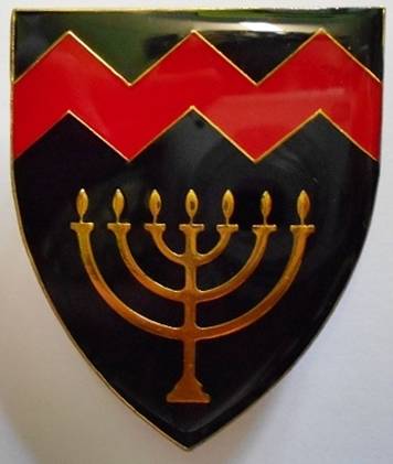 Regiment University of Potchefstroom Shoulder Flash Pins Intact Dinnes 4460