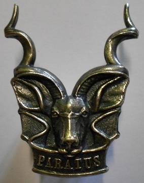 SWATF Area Force Cap Badge Dinnes 1254