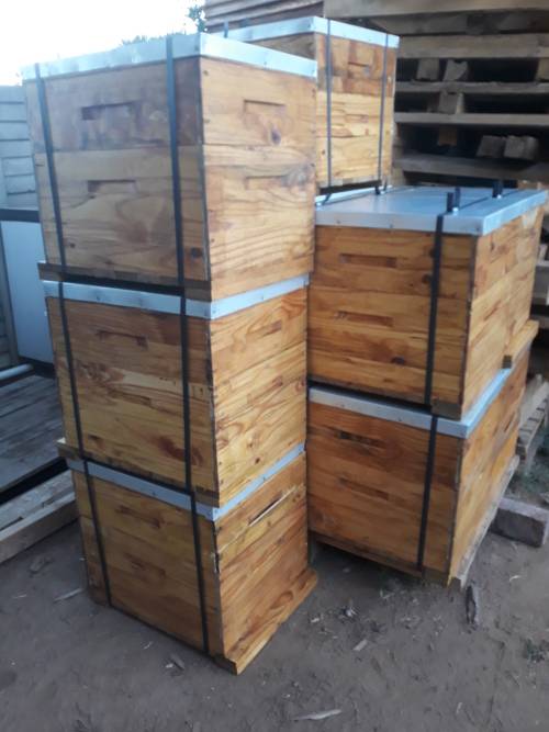 Bee hives