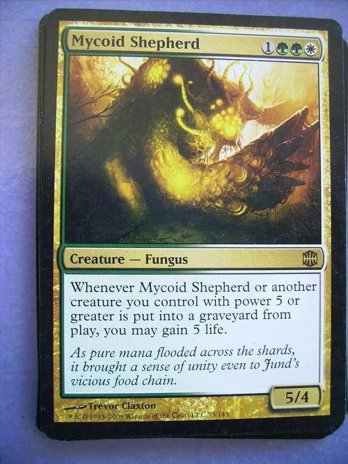 Magic the Gathering Mycoid Shepherd Alara Reborn (Rare)